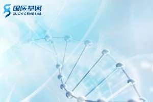 濟(jì)南24家專業(yè)個(gè)人隱私親子鑒定中心一覽（附2025年親子鑒定地址匯總）