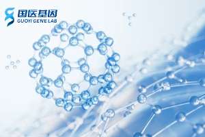 貴陽親子鑒定需要多少錢（2025年收費標準合集）