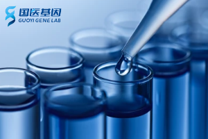 汝南縣親子鑒定費(fèi)用標(biāo)準(zhǔn)一覽（附2025年中心收費(fèi)標(biāo)準(zhǔn)）