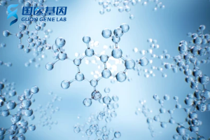 南昌22家正規(guī)親子鑒定中心大全(附鑒定機(jī)構(gòu)地址)