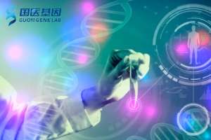 靠譜！和平親子鑒定需要花多少錢費用？（附2025費用一覽）