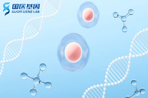 贛州29家正規(guī)親子鑒定中心匯總(附2025年親子鑒定辦理地址)