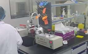 知曉！羅定上戶口親子鑒定中心地址一覽（附2025鑒定收費標準）