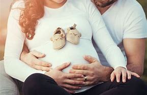 多囊試管移植當(dāng)月排卵嗎？多囊試管移植后的成功率？