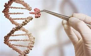 煙臺助孕中心簡介