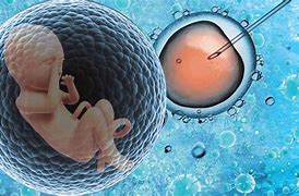 廣州助孕機(jī)構(gòu)排名