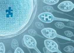 北京助孕機(jī)構(gòu)概況