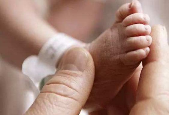 什么是體外受精?