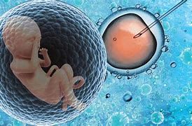 什么是“不明原因不孕”？