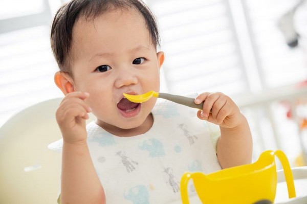 4. 服務(wù)體系