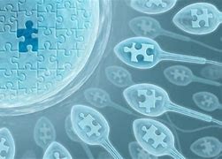 染色體異常能做試管嗎？揭開科學(xué)謎題！