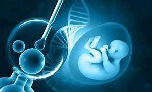 杭州試管嬰兒：科技賦能，孕育希望的新篇章