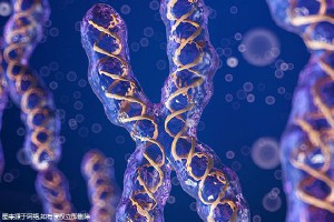 東莞試管嬰兒費(fèi)用明細(xì):41歲高齡女性如何選擇合適的醫(yī)院?