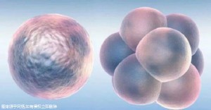 廣州試管嬰兒技術(shù)：廣州生殖醫(yī)院如何應(yīng)對挑戰(zhàn)，助力夫婦圓夢？