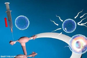 鄭州正規(guī)試管機構推薦，附十大試管機構排名榜單