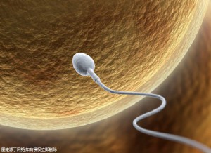 吉林正規(guī)試管醫(yī)院最新排行榜，能做三代的有幾家？