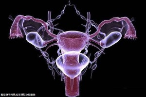 廣州試管嬰兒成功率哪家醫(yī)院比較高？廣州哪家私立醫(yī)院試管嬰兒費(fèi)用最低？