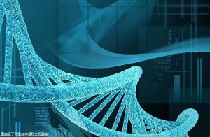 石家莊三代試管醫(yī)院哪個好-石家莊可以做三代試管的醫(yī)院！