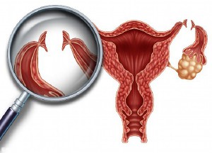 中國試管嬰兒誕生時間是多少