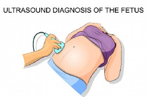 試管嬰兒報(bào)銷湖北多少費(fèi)用，試管嬰兒報(bào)銷湖北多少費(fèi)用啊