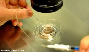 泰國私立醫(yī)院地址，附最佳就醫(yī)路線讓好孕不迷路