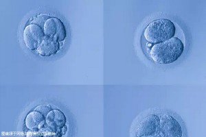 蘭州做試管比較厲害的醫(yī)院,認準這份醫(yī)院榜單