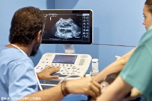 日本試管嬰兒做一次費用大約需要多少