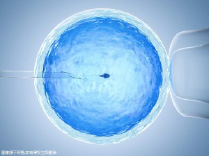 襄陽醫(yī)院三代試管移植需要多少錢