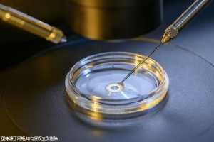 臺州第三代試管機構(gòu)以及價格(臺州試管嬰兒醫(yī)院排名比較好)