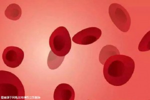 日本試管嬰兒可以生孩子嗎？日本的試管嬰兒成功率高嗎？