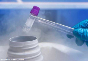 美國(guó)能做三代試管機(jī)構(gòu)有哪些,美國(guó)三代試管的成功率是多少!