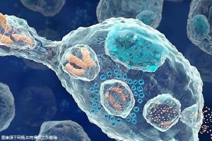 ?？谌笾袡C構(gòu)是哪三家,附助孕生子費用