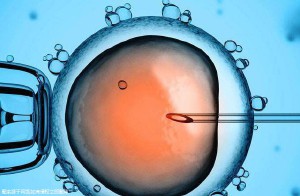 做試管基礎(chǔ)卵泡幾個(gè)算正常