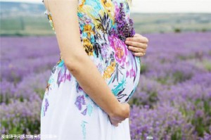 柬埔寨試管嬰兒成功的概率有多大！單周期5萬起！