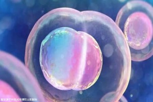 現(xiàn)在成都做試管生寶寶多少錢！卡為特價格！