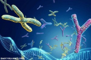 烏克蘭做三代試管嬰兒的醫(yī)院哪家比較好(熱門烏克蘭試管嬰兒醫(yī)院)