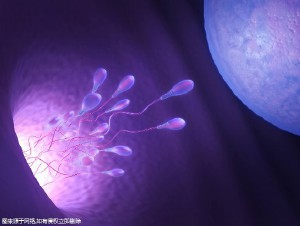 泰國試管嬰兒費(fèi)用多少？昆明做三代試管嬰兒費(fèi)用高嗎？