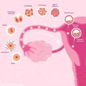 吉林做三代試管最權(quán)威的醫(yī)院哪些好？能不能做三代