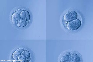 深圳試管嬰兒費用多少？如何合理規(guī)劃預(yù)算？