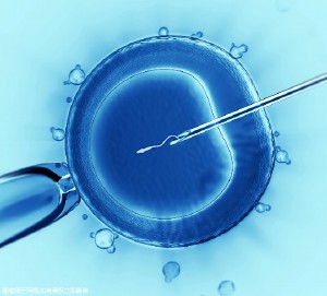 深圳試管嬰兒花費(fèi)明細(xì)表有什么