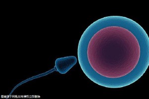 海南試管生個小孩的缺點？(海南和京生殖醫(yī)院)