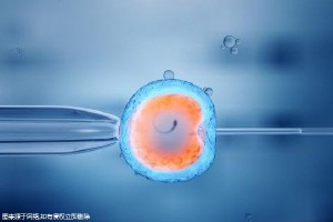 胎兒腹腔鈣化灶是什么引起的?