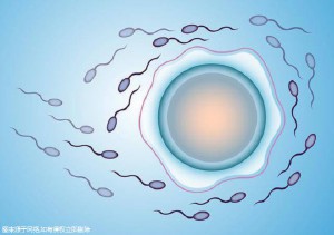 廣州做試管的直營機構(gòu)有哪幾家廣州直營試管嬰兒機構(gòu)哪家好？成功率如何！