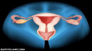 試管哪個(gè)醫(yī)院比較好上海_上海試管哪家醫(yī)院好