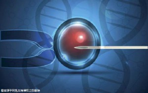 柬埔寨正規(guī)試管嬰兒醫(yī)院排名最新匯總-柬埔寨試管嬰兒費(fèi)用多少錢!