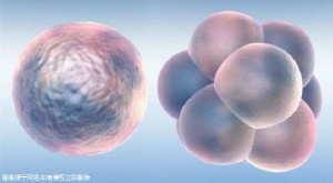 宜宗試管嬰兒哪家醫(yī)院好?宜宗第三代試管嬰兒成功率如何?