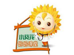 小葵花金銀花露的價(jià)格是多少