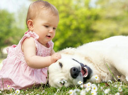 小兒中暑癥喝什么藥