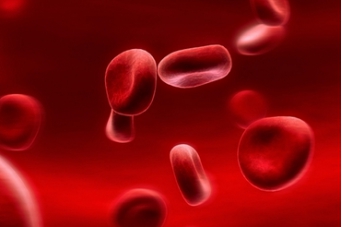 成人缺鐵性貧血怎么辦