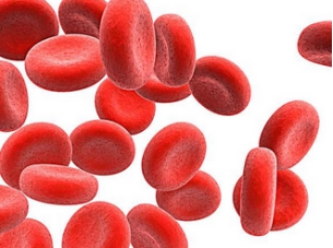 貧血治療的誤區(qū)有哪些